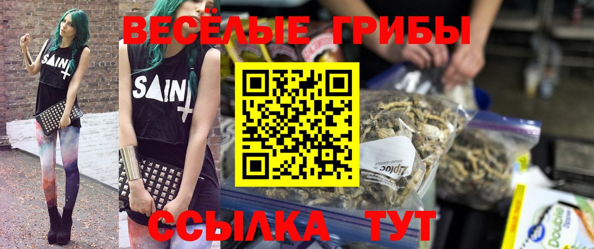Галлюциногенные грибы Psilocybine cubensis Нововоронеж